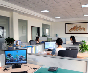 Hangzhou Costar Trade Co. Ltd.